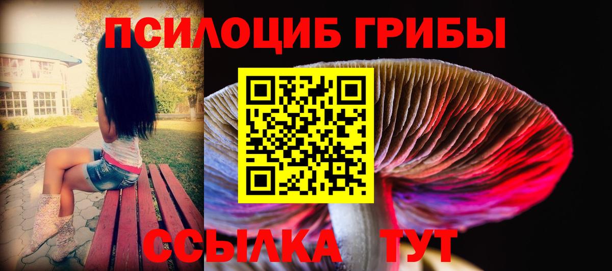 Полысаево  Псилоцибиновые грибы Magic Shrooms  Вход с VPN 