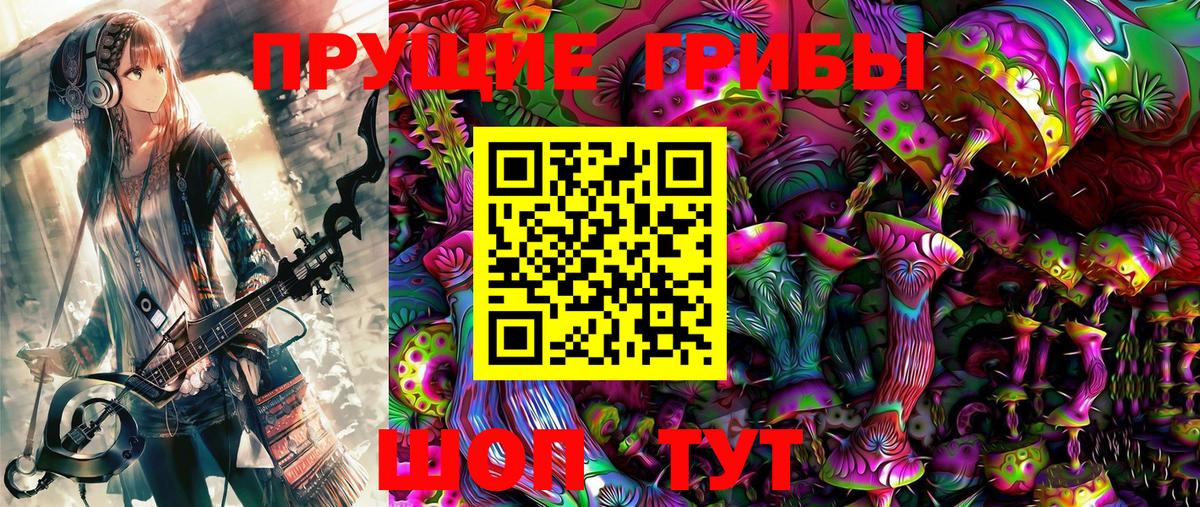 Галлюциногенные грибы Psilocybine cubensis Полысаево